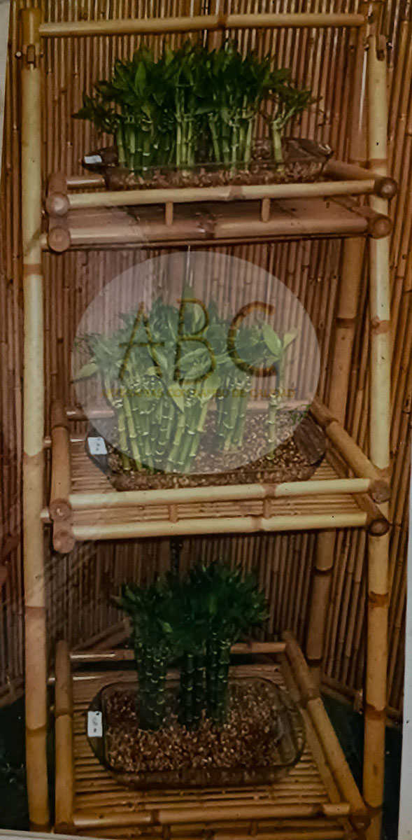 Mesa de Comedor